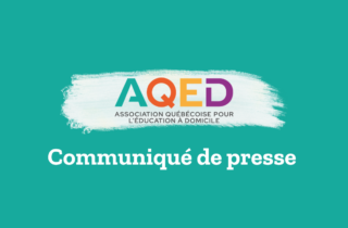 Article site web